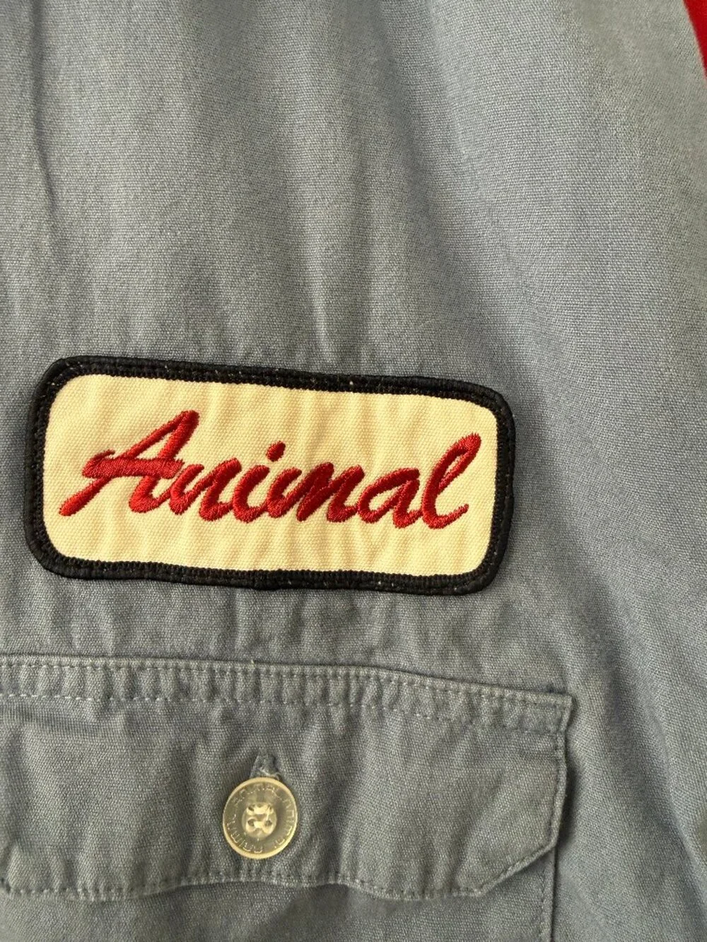Short-sleeved 'Animal' Shirt - Picture 3 of 4